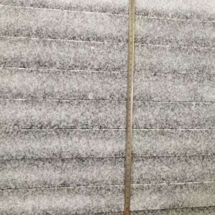 西藏 芝麻白火烧成品厚薄均匀，B料价格接近A料质量