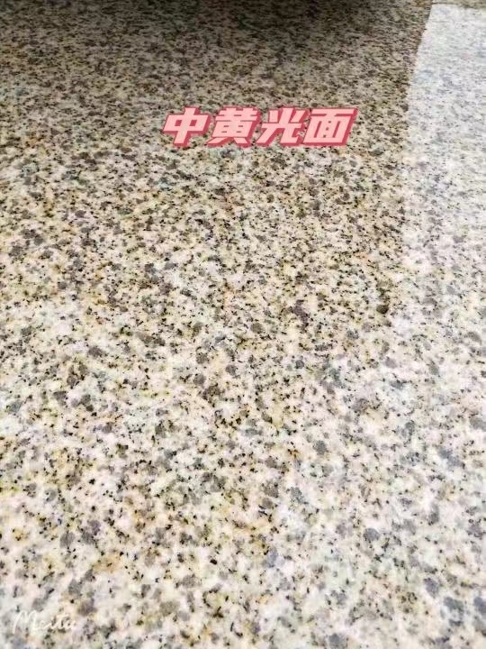 西藏黄金麻中黄光面
