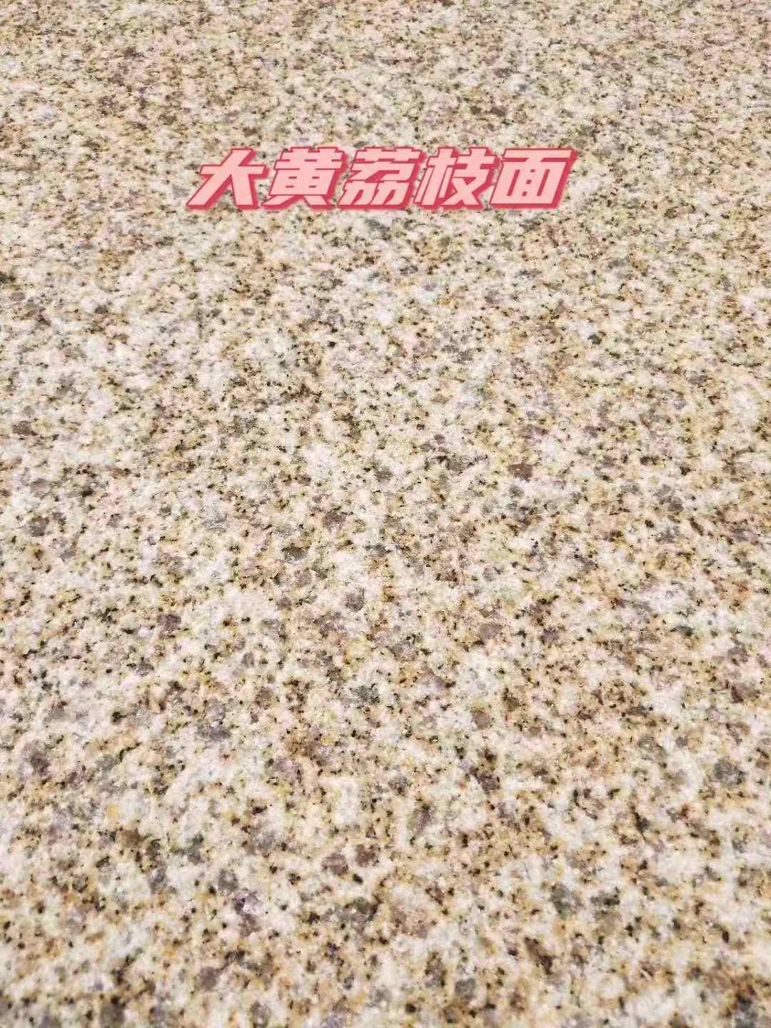 西藏黄金麻大黄荔枝面