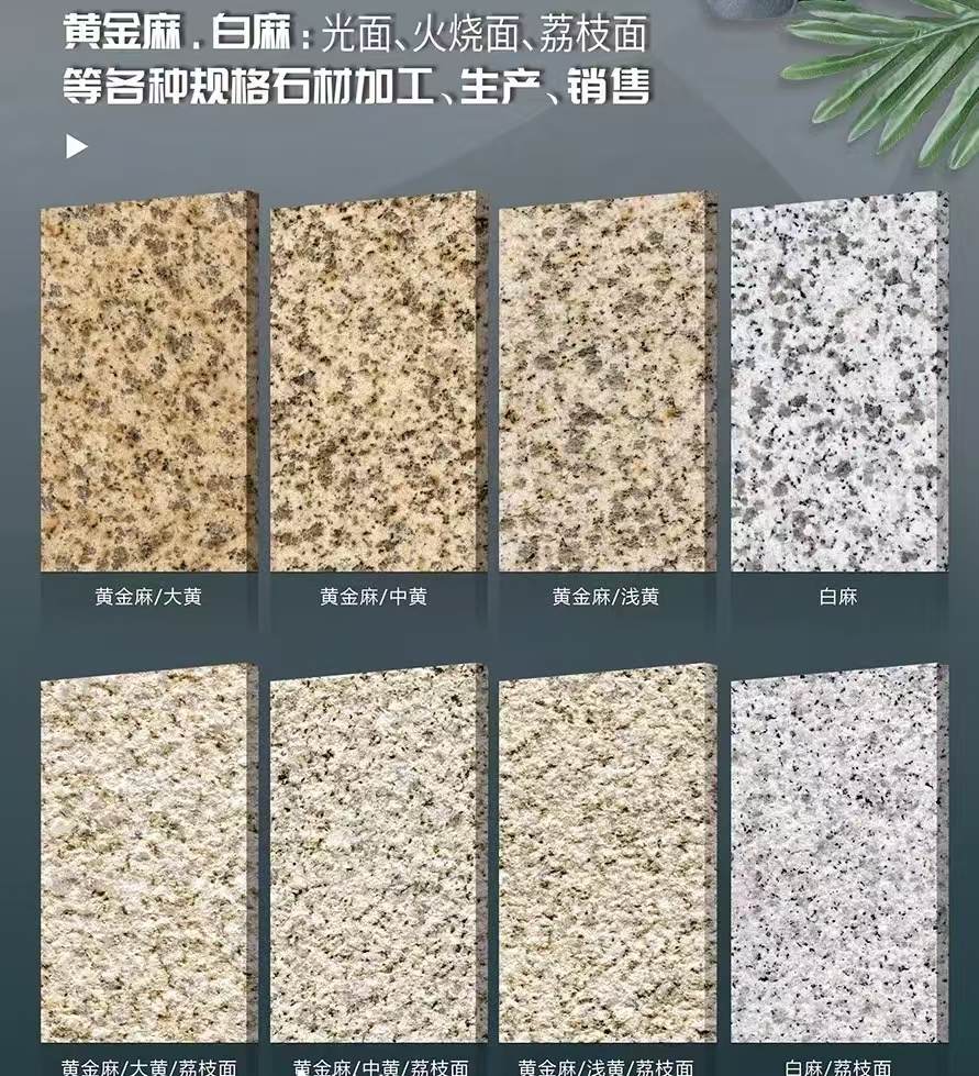 西藏 黄金麻白麻样品展示